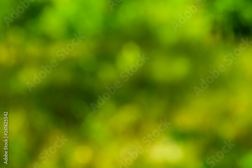 Defocused and blurred background. Green bokeh