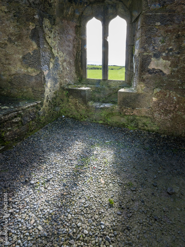 Ross Abbey Window photo