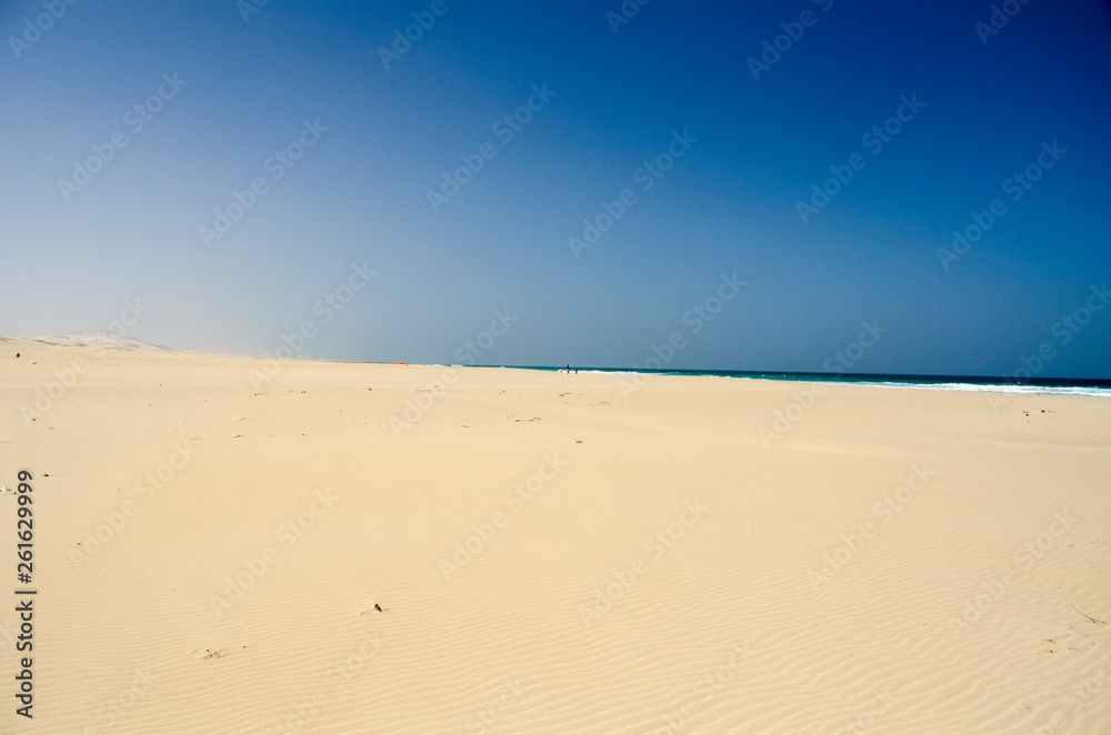 sand dunes in the desert