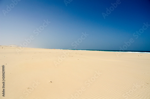 sand dunes in the desert