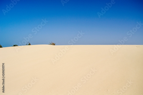 sand dunes in the desert africa