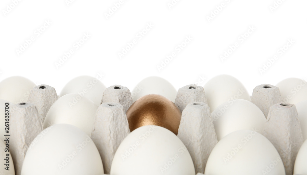 Egg carton with golden egg among ordinary ones on white background - obrazy, fototapety, plakaty 