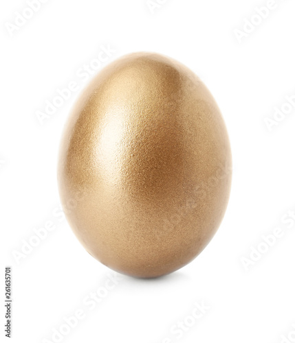 One shiny golden egg on white background