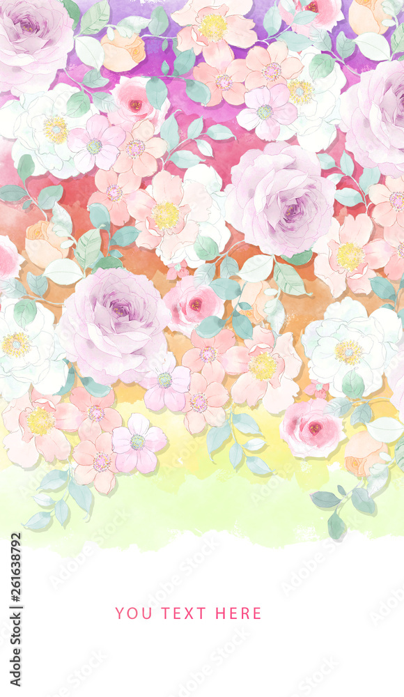 Fototapeta Beautiful watercolor rose peony flower