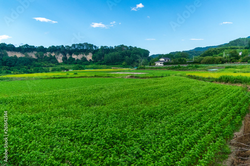 暑かった夏の終わり