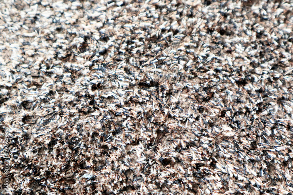 Texture of Carpet Rug