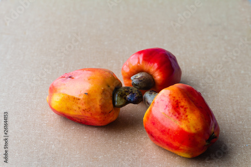 Cashews in textured background