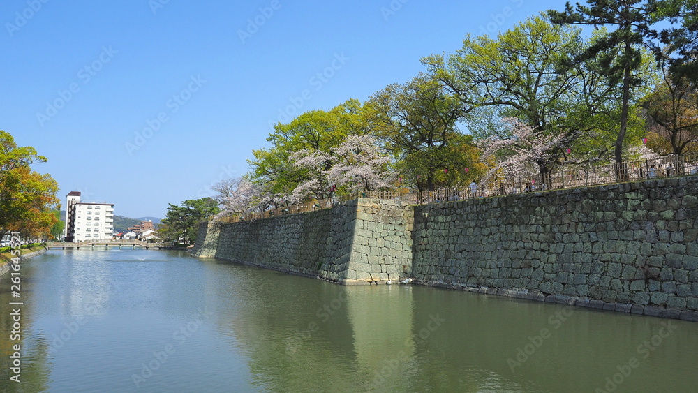 春の丸亀城（桜満開）４