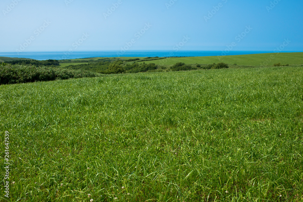 宗谷丘陵の牧草地と宗谷海峡 宗谷丘陵の牧草地と宗谷海峡