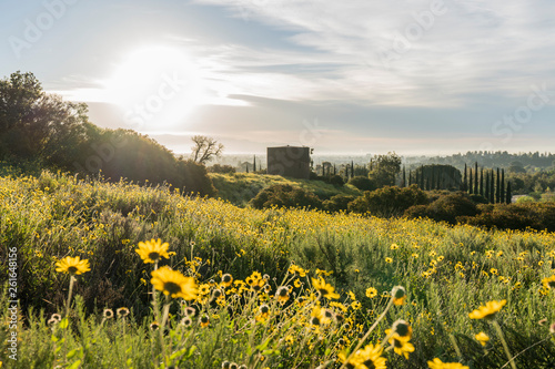 San Fernando Valley spring wildflower meadow and water tank at Santa Susana Pass State Historic Park in Los Angeles, California.   photo