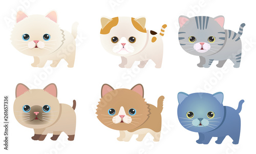 Vector set of cute kittens of different breeds.