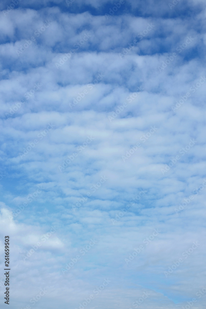 fluffy white cloud on blue sky background fluffy white cloud on blue sky background