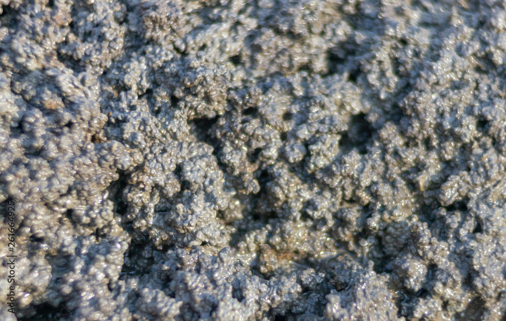 wet mud texture wet mud texture