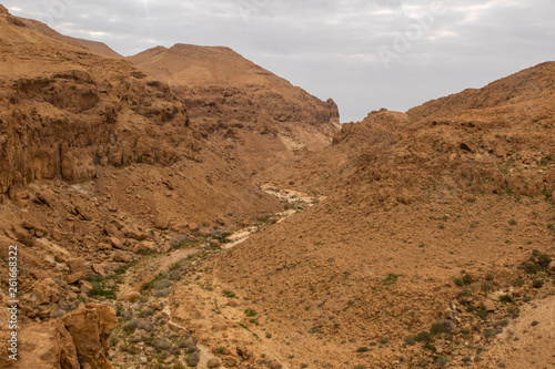 Negev Desert, Israel