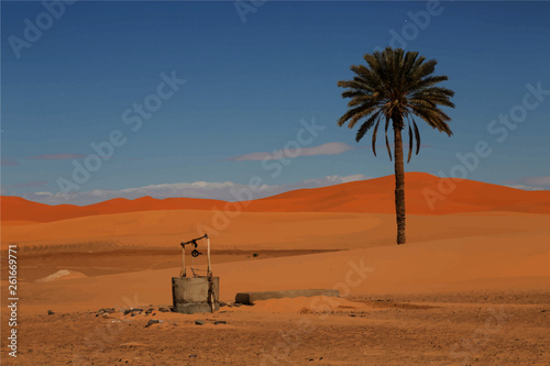Moroccan Oasis