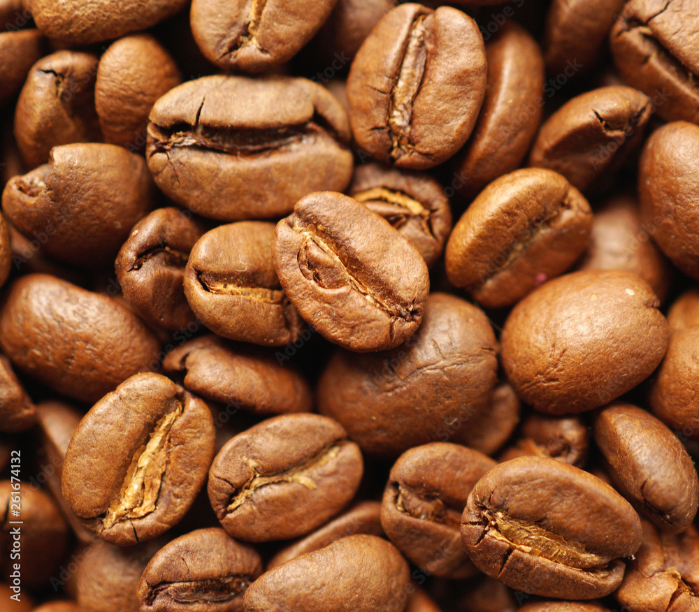 Roasted coffee beans close-up