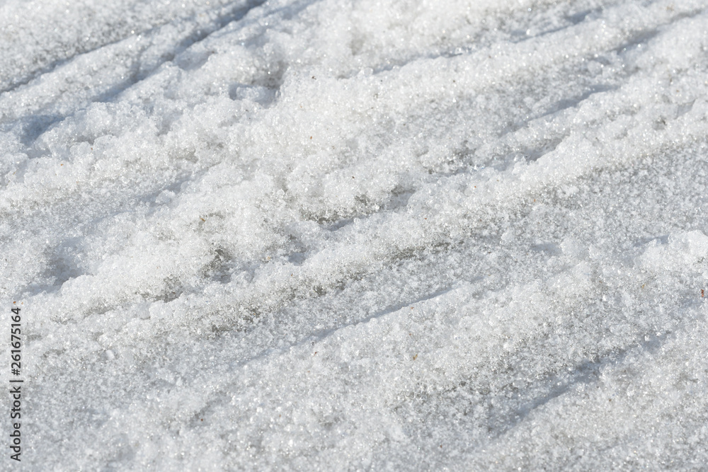 Early spring snow background and texture close up Early spring snow background and texture close up