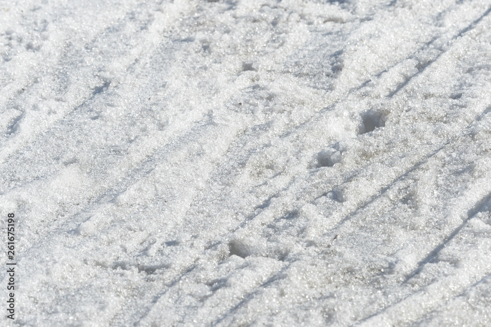 Early spring snow background and texture close up