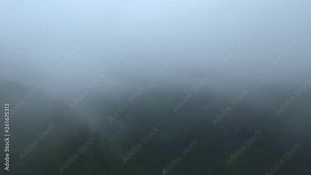 Flying a drone over a mountain forest in poor visibility Flying a drone over a mountain forest in poor visibility
