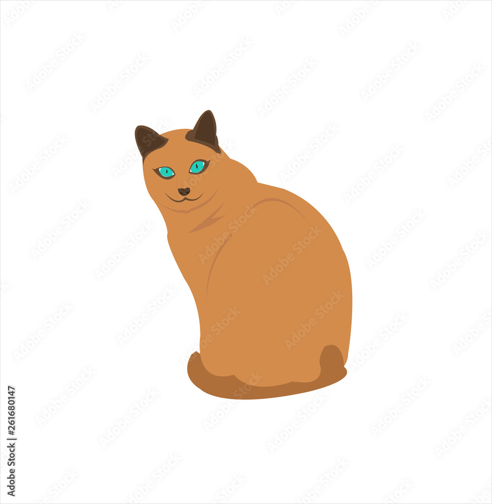 Fototapeta premium vector image of big cat