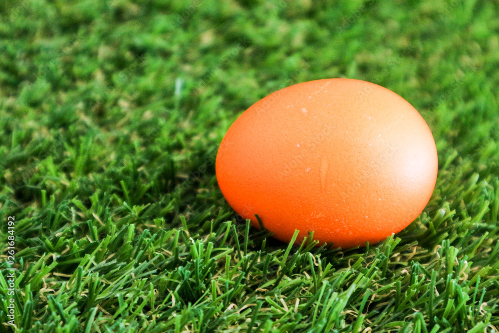 Yellow easter egg in the green grass closeup Yellow easter egg in the green grass closeup