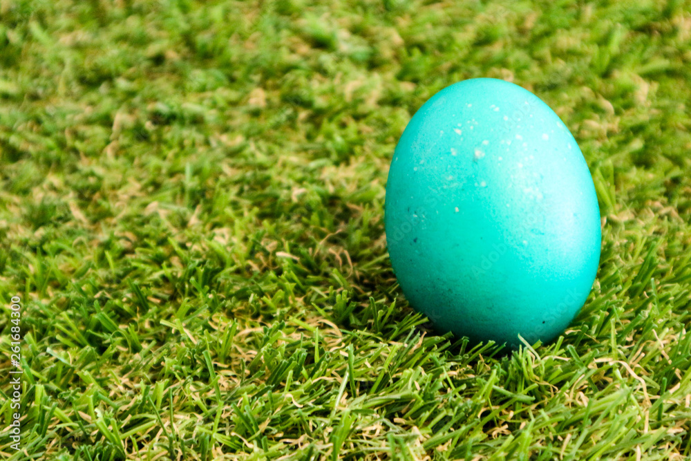 Azure easter egg in the green grass closeup Azure easter egg in the green grass closeup