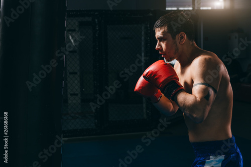 Strong muscular young boxer in sportswear and red boxing gloves training in dark studio, building body and character. Boxing, workout, muscle, strength, power. © alfa27