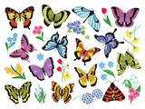 Colored butterflies. Hand drawn simple collection of butterflies and flowers isolated on white background. Vector graphic collection drawn vintage flying insect