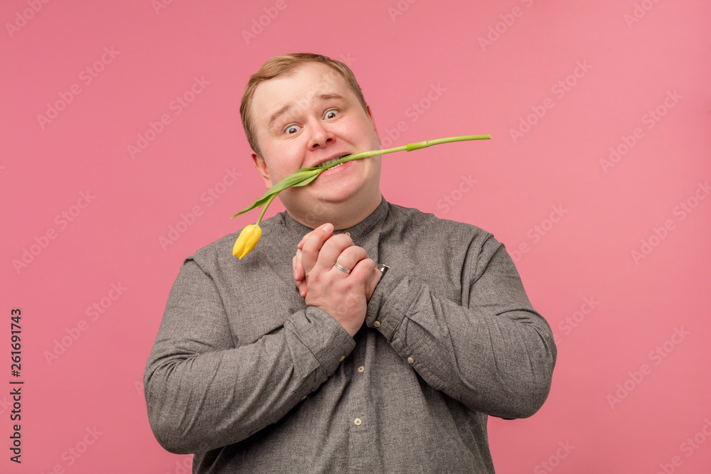 Caucasian softie tubby man holding yellow tulips while thinking ready for Valentine day, isolated on pink background Caucasian softie tubby man holding yellow tulips while thinking ready for Valentine day, isolated on pink background