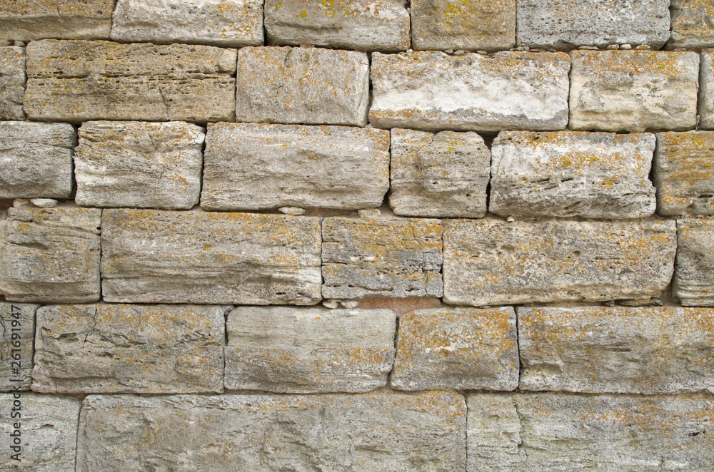 Obraz premium Old relief limestone wall closeup
