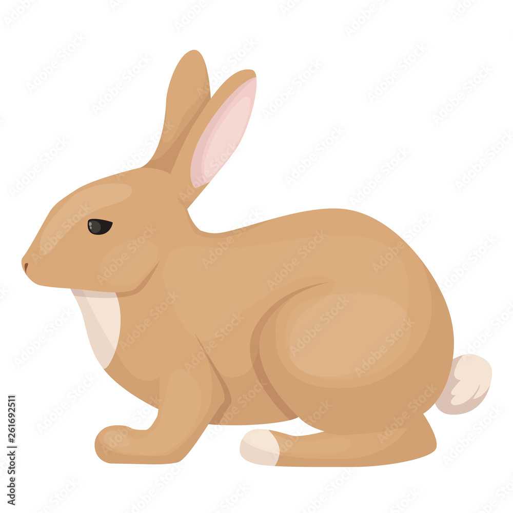Cute, funny, small pet, mammal of the hare family. F Cute, funny, small pet, mammal of the hare family. F