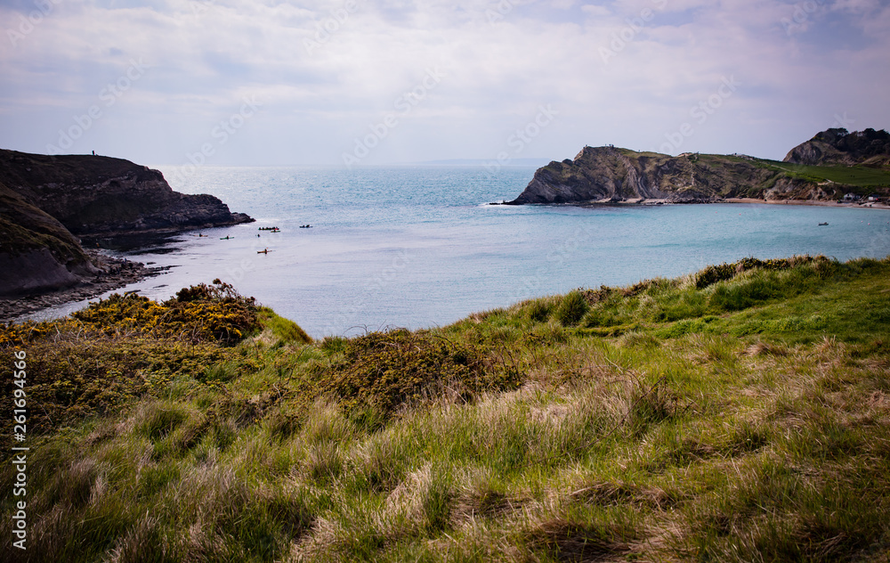 lulworth cove and grass