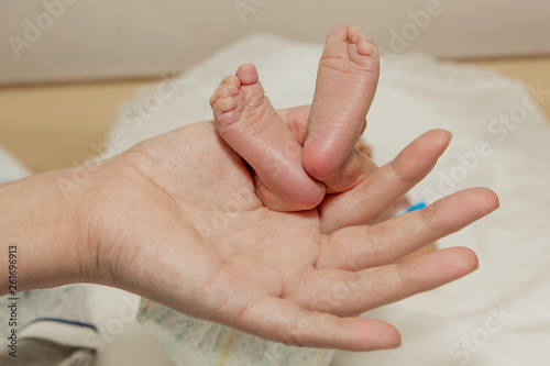 Mother holds the baby's feet in her hand. One leg lies on the other, the background is blurred.