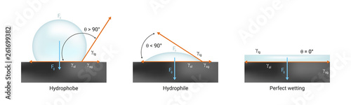 Vector physics scientific icon of surface tension. Hydrophilic, hydrophobic and perfect wetting the solid surface with liquid. Contact angle < 90° and > 90° and zero 0° isolated on white. photo