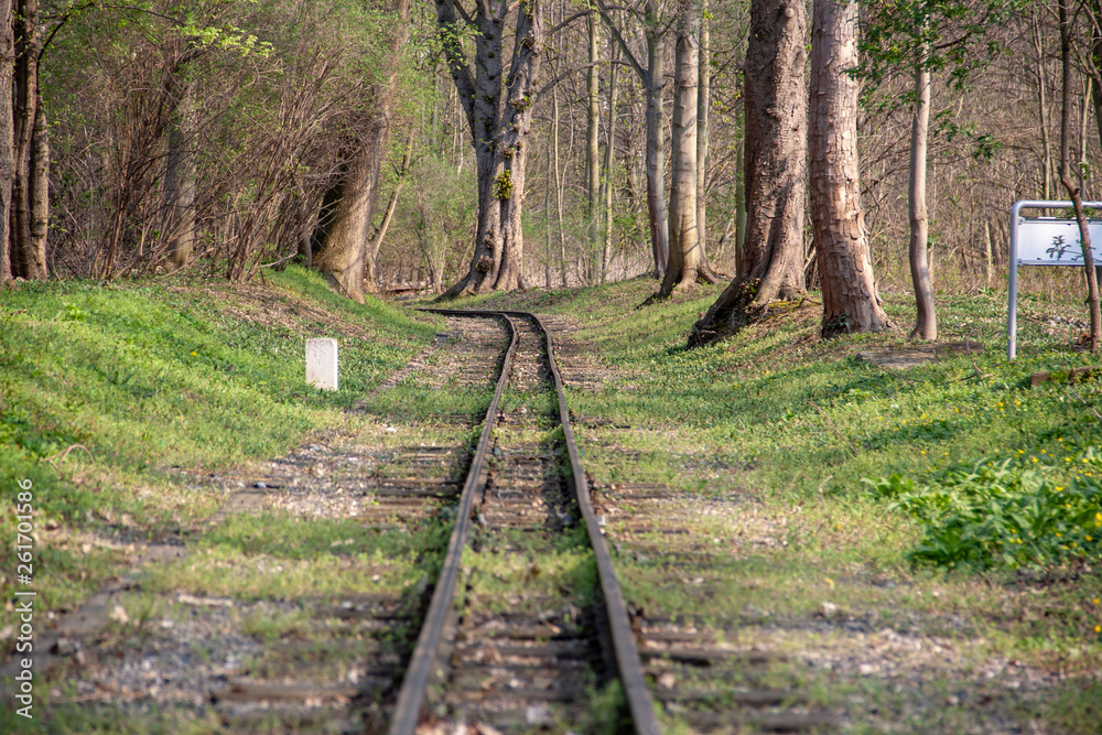 View of Railways of Miniature Park Railroad.at lake Auensee in Leipzig View of Railways of Miniature Park Railroad.at lake Auensee in Leipzig