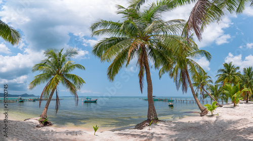 Fototapeta Naklejka Na Ścianę i Meble -  Palm trees on a beach. The fishing boats in turquoise sea.  vietnam