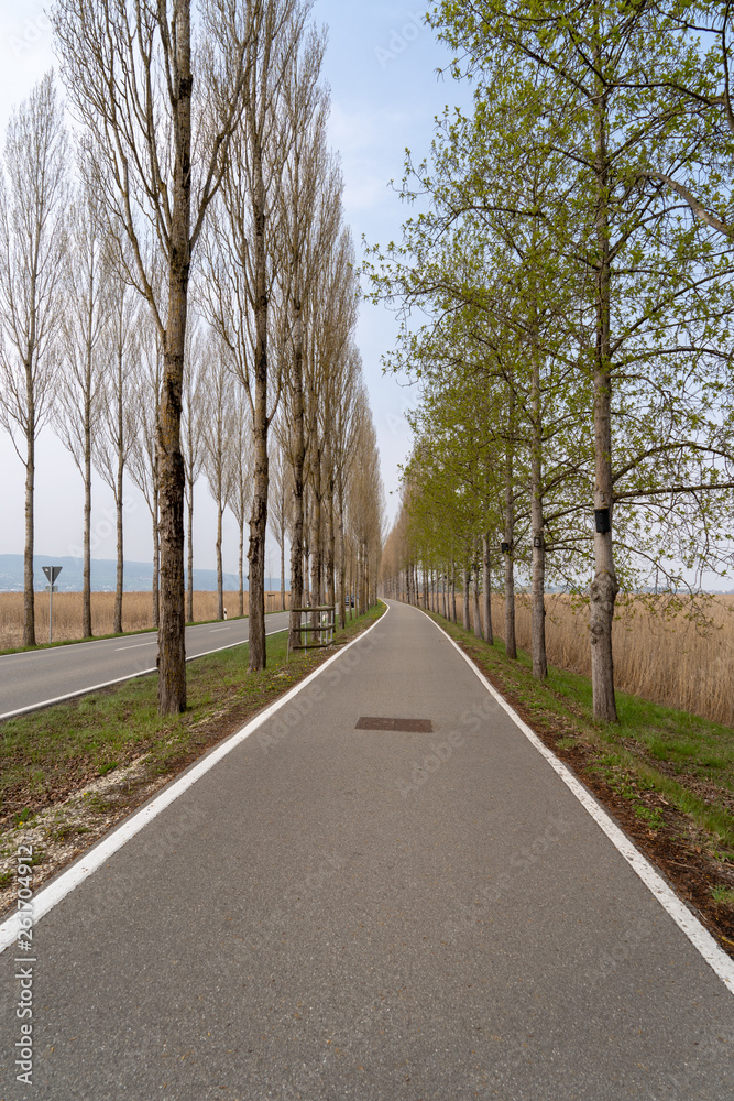 Fototapeta premium Insel Reichenau im Bodensee 