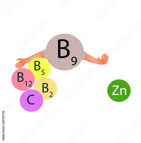 Vitamin B9 compatibility with other vitamins and minerals. Infographics. Vector illustration on isolated background.
