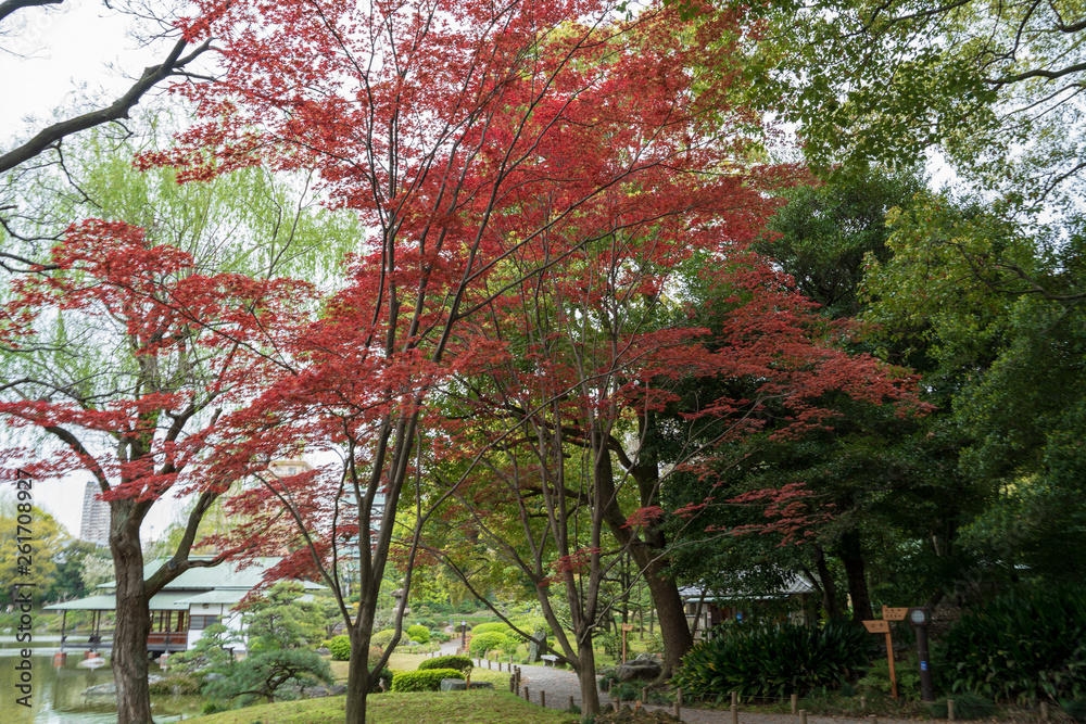 KIYOSUMI TEIEN garden in TOKYO,JAPAN. Spring KIYOSUMI TEIEN garden in TOKYO,JAPAN. Spring