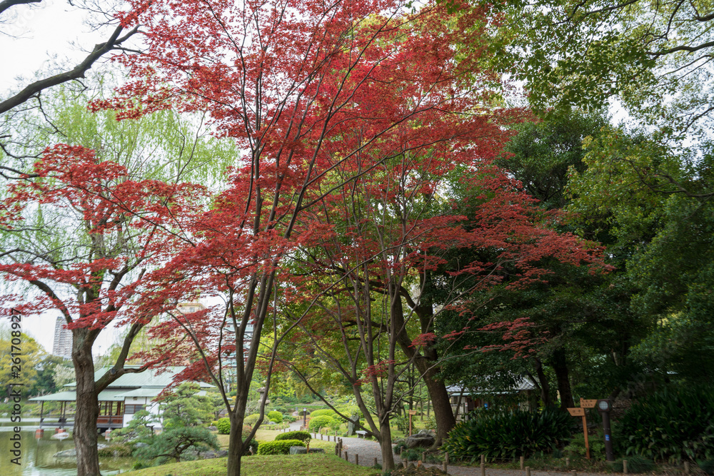 KIYOSUMI TEIEN garden in TOKYO,JAPAN. Spring