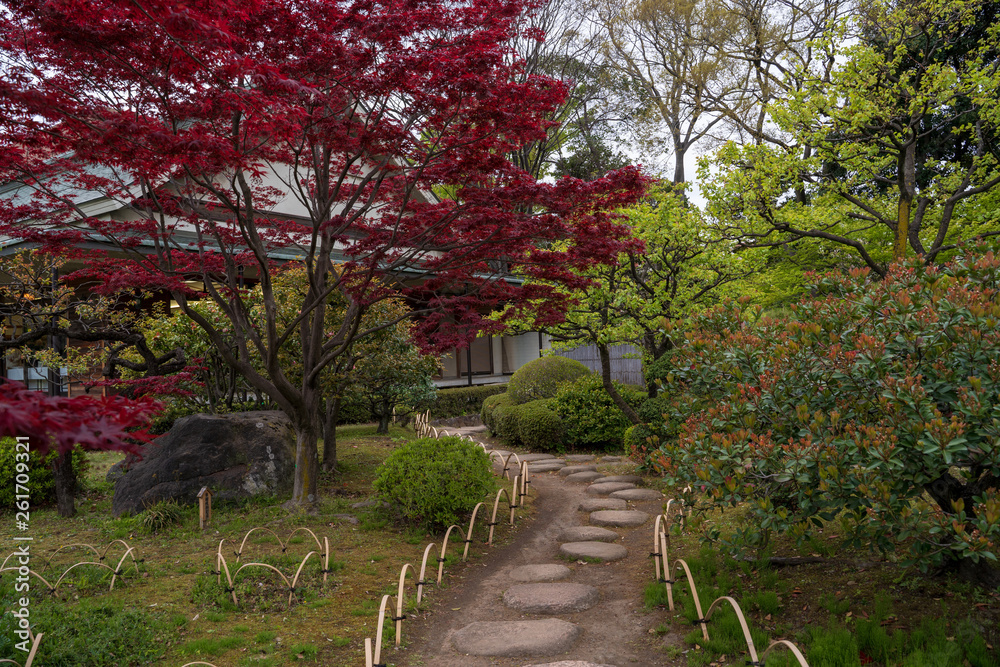 KIYOSUMI TEIEN garden in TOKYO,JAPAN. Spring KIYOSUMI TEIEN garden in TOKYO,JAPAN. Spring