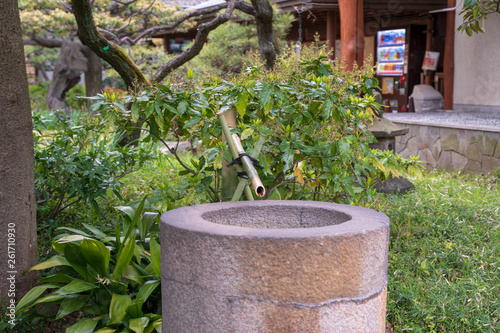 KIYOSUMI TEIEN garden in TOKYO,JAPAN. Spring