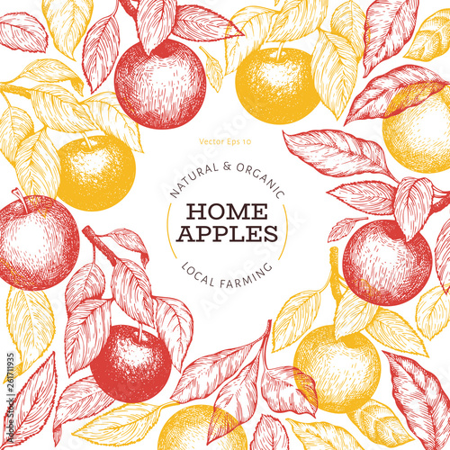 Apple branche design template. Hand drawn vector garden fruit illustration. Engraved style fruit frame. Retro botanical banner.