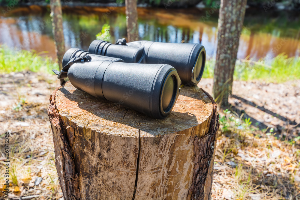 Huge binoculars with closed lenses on stump in woods.