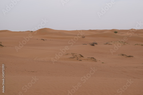 Wüste 2