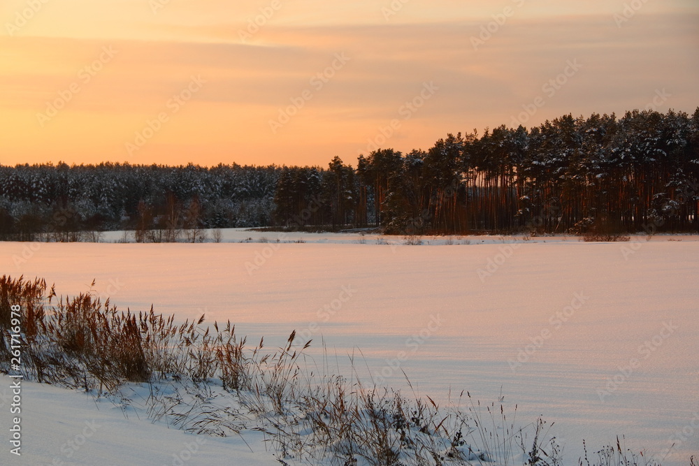 winter dawn landscape
