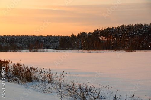 winter dawn landscape