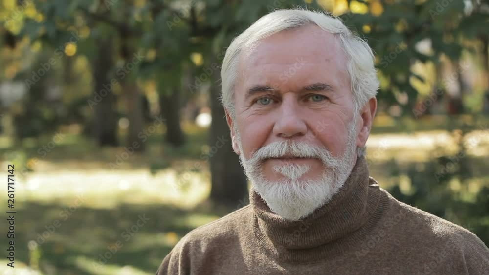 Old gray-haired man looking at camera, smiling. Calm, safety, prosperous grandpa Old gray-haired man looking at camera, smiling. Calm, safety, prosperous grandpa