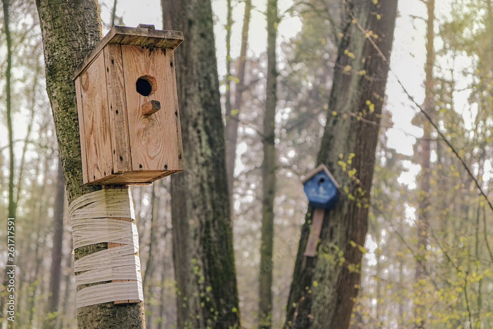 birdhouse in spring forest, house for forest birds on tree. human care for birds and environment. concept of ecology. spring season