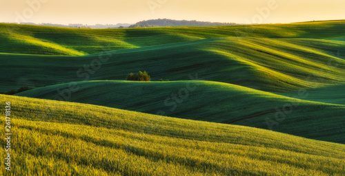 hilly field. picturesque hills of a spring field. spring hills
